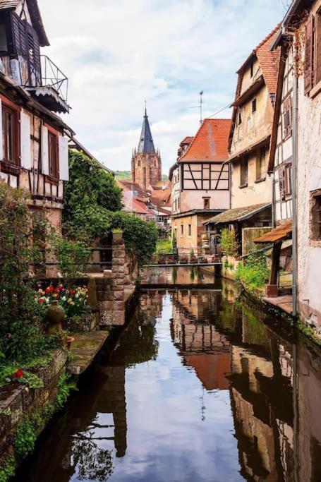 Appartements « La Parenthese » Wissembourg Eksteriør billede